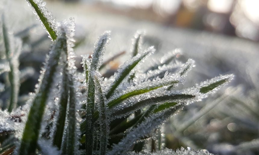 6 Landscaping Tips for Winter